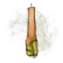 golden candle multiplayer item salt and sacrifice wiki guide 128px